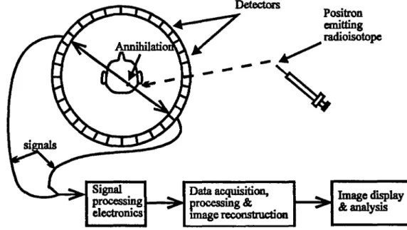 Figure  1.1.  Schematic diagram showing the principle of PET scanner. 