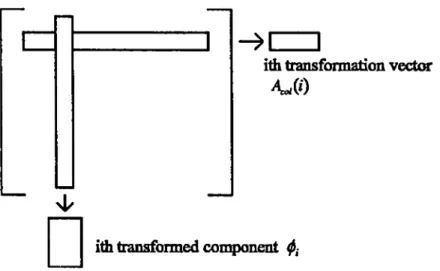 Figure 2.5.  illustration  of the  ith  principal  component  of the  multispectral  data  set  obtained by performing Singular Value Decomposition (SVD)
