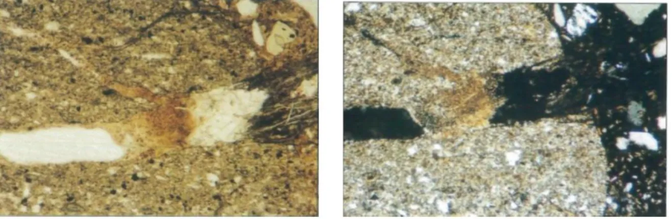 Figure 10 : Thin section showing a crack (left) which is empty apart from an area of granular material and a plug of  gel which protrudes into the cement paste