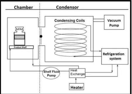 Figure 2-1 Schematic view of a freeze-drying equipment (Adapted from Nathaniel Milton, Eli Lilly and  Co 23 )