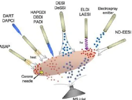 Figure 2. Overview of ambient MS-based methods. 