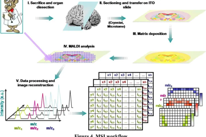 Figure 4. MSI workflow. 