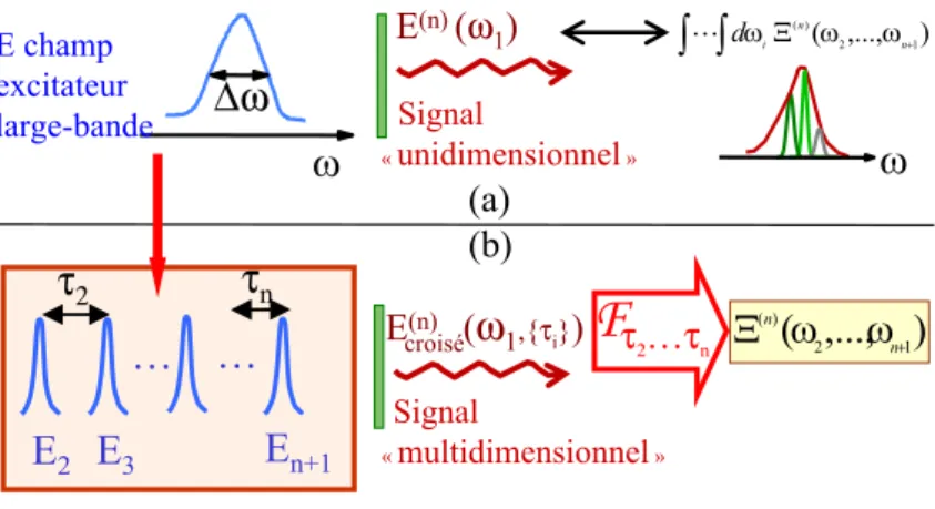 Fig. 1.11 – Principe de la spectroscopie multidimensionnelle par trans- trans-form´ ee de Fourier