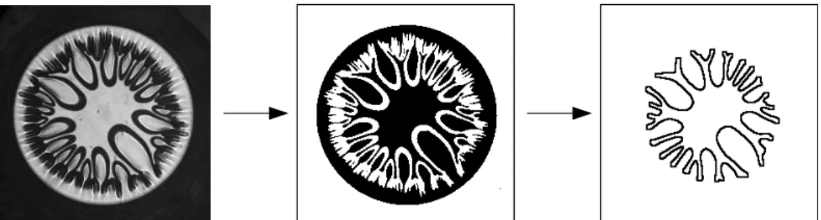 Figure 6.4.: The original image is binarized applying a threshold. Thereafter, the outline is saved as pairs of xy-values.