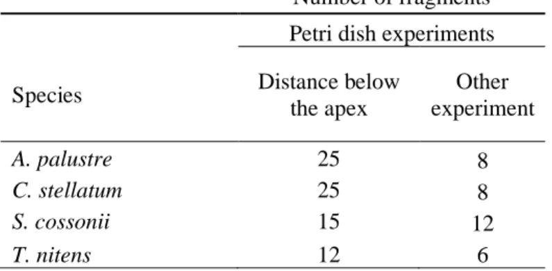 Table 2.1:  Number  of  moss  fragments per  petri  dish per  species per  experiment  for  the  growth 