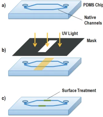 Figure 2.5:  Schematic of the patterning process. (a) A microfluidic device  is prepared for surface treatment (primed with BP and filled with AA  monomer solution)