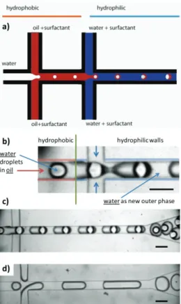 Figure S3:  Double emulsion synthesis (water in oil in water). (a) Schematic layout of the microfluidic  device: Two flow-focusing structures perform subsequent encapsulation