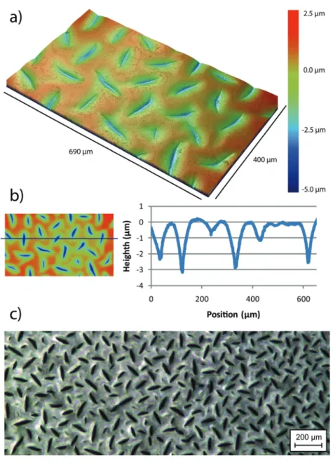 Figure 2.8:  Surface analysis of excessively treated PDMS surface showing  micro cracks