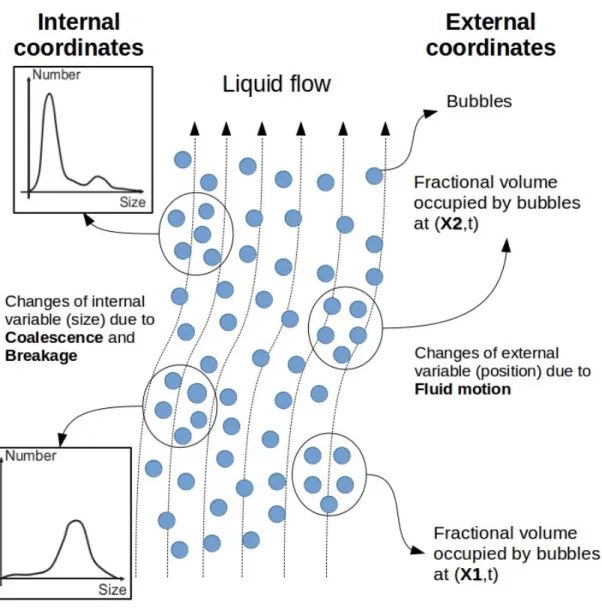 Figure 3.1 Internal and external coordinates of population balance for gas-liquid flow (x= spatial location, t =time)