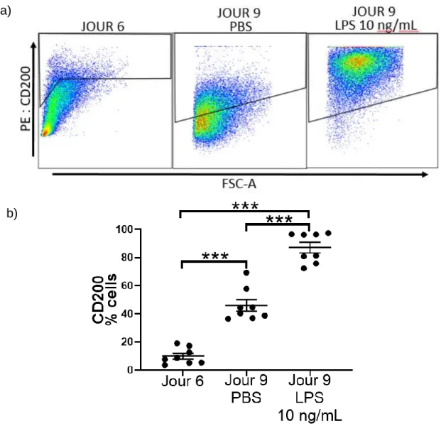 Figure  3 : Évolution de l’expression du CD200 lors de la différenciation des  BMDMs. 