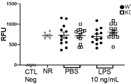 Figure  8  :  Le  CD200  n’influence  pas  les  fonctions  phagocytaires  des  macrophages