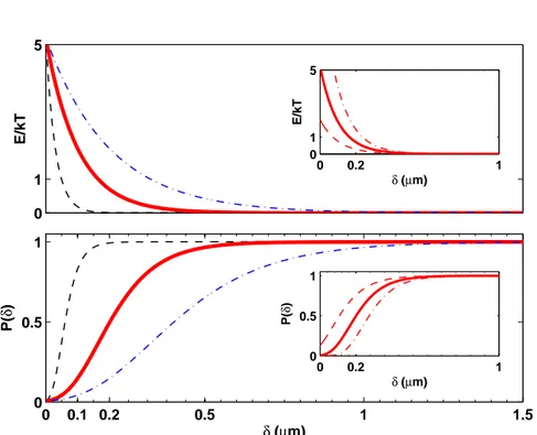 Fig. 3.20: Energie d’interaction électrostatique entre une sphère et un plan et ré- ré-partition des traceurs associée selon une distribution de Boltzmann, tracées pour λ D = 100 nm (courbe rouge épaisse), λ D = 30 et 200 nm (en pointillés)