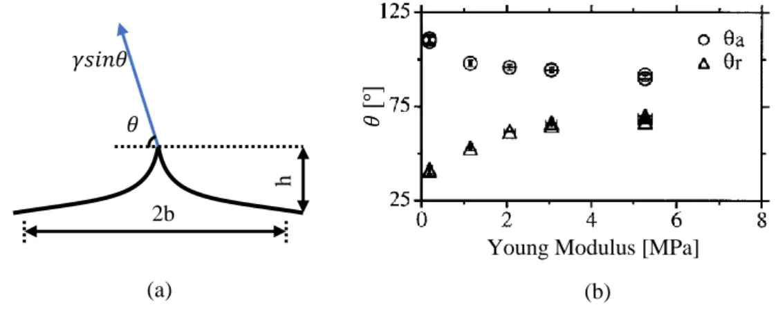 FIGURE 1.6: (a) Schematic of the elastomer deformation, pinning post, at the contact line