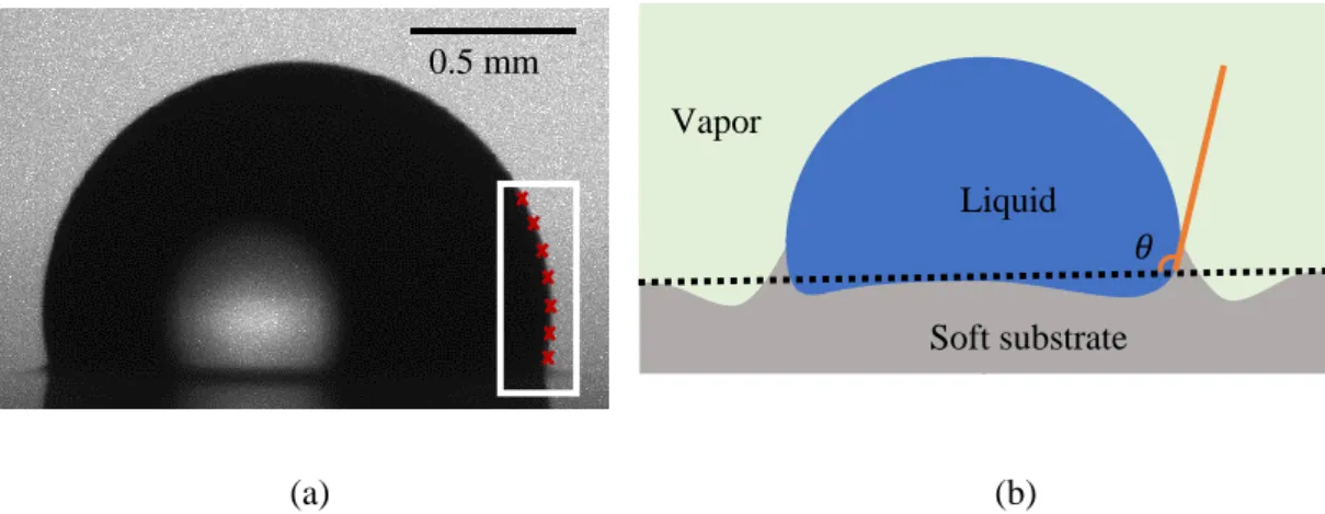 FIGURE 2.8: Contact angle detection. (a) Water droplet sitting on a soft PDMS substrate with Young’s  modulus of 3.6 