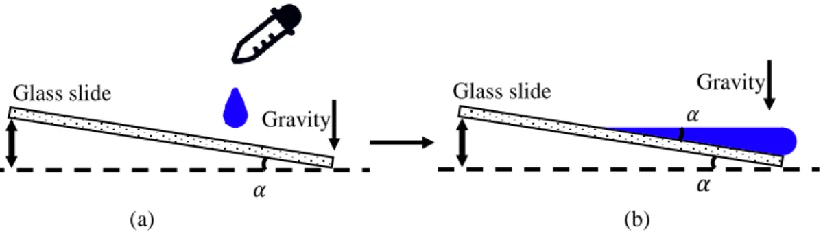 FIGURE 2.20: Preparation of soft films with thickness gradient. (a) Deposition of Sylgard liquid onto a tilted  glass slide
