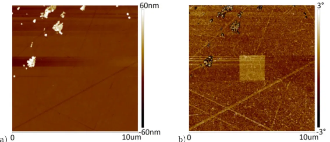 Figure 28 : Surface de la lentille en verre : lentille traitée au piranha, au bain ultrasons, et séchée