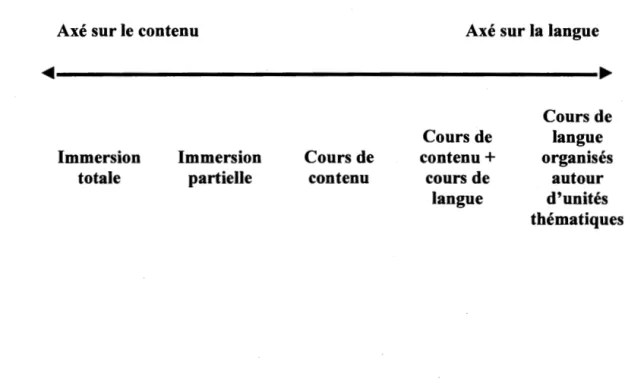 Figure 2.  Gamme des programmes d'enseignement axés sur le contenu.  Source : adapté et traduit librement de Met,  1998, p
