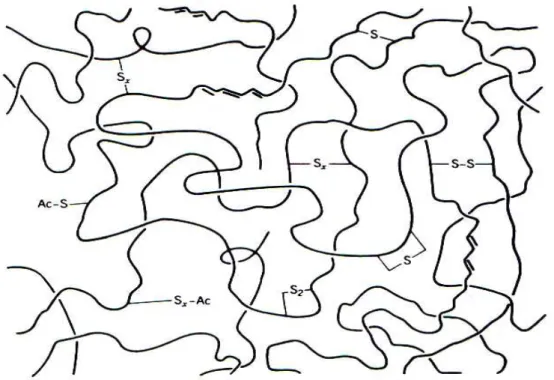 Figure 1-10. Les types de ponts de réticulations et les modifications de chaîne [2]. 