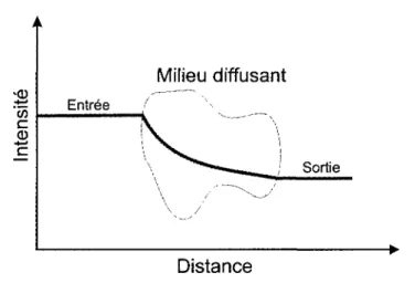 Figure 2.1: Mesure dans le domaine continu (CW). 