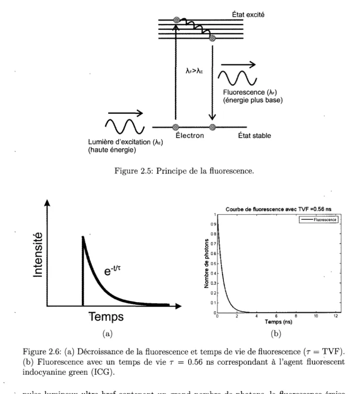 Figure 2.5: Principe de la fluorescence. 