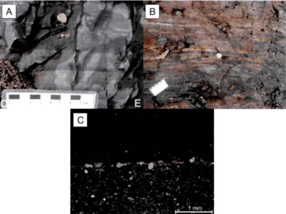 Figure 3.3  :  Photos  de  terrains  et photomicrographies  des  roches  sédimentaires  de  la 