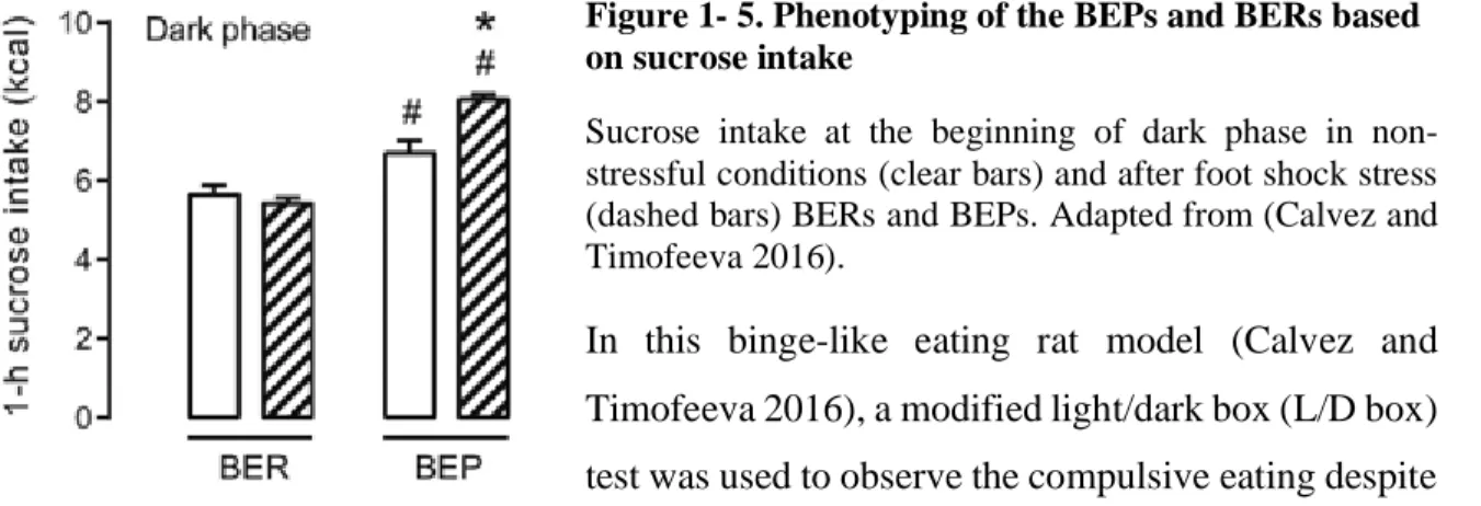 Figure 1- 6. Compulsive-like eating behavior in BER and BEP rats.  