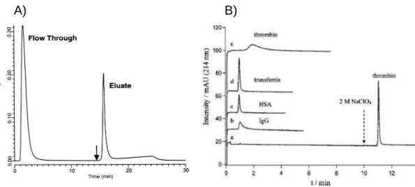 Figure 27 :  (A) : Elution de la sélectine par un gradient d’EDTA après lavage par un tampon  [250]