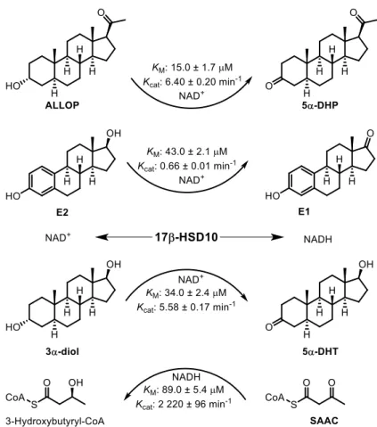 Figure  6.  Transformation  de  trois  stéroïdes  et  du  S-acétoacétyl-CoA  (SAAC)  catalysées  par  la  17β-