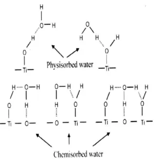 Figure 1.27 – Structure de l’eau sur la surface de T iO 2 d’après [58]