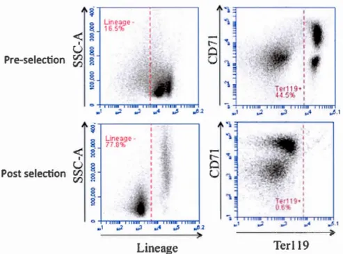 Figure 2.1  Efficiency of Lineage- cell en rich ment by negative selection. 