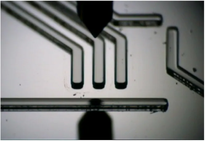 Fig. 2.3 – Exemple de structure en r´ esine SU8. Les canaux ont une largeur de 200 microns et un ´