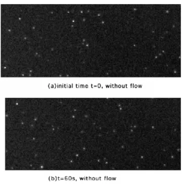 Fig. 4. Same system as Fig. 3 but subjected to a flow rate, from the left to the right equal to 40 nl/min