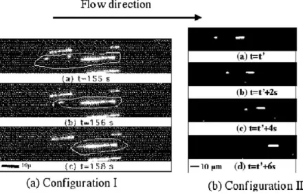 Fig. 5. Sequence of images showing the capture process. (a) (Configuration I) The flow goes from left to right at 40 nl/min, and the magnetic field is longitudinal with respect to the flow