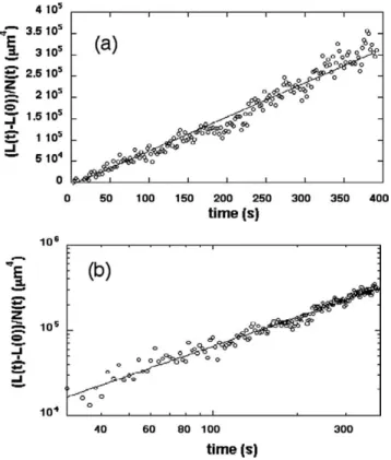 Fig. 10. Long-time evolution of the averaged length of the chain, for a flow rate of 20 nl/min, in Configuration II.