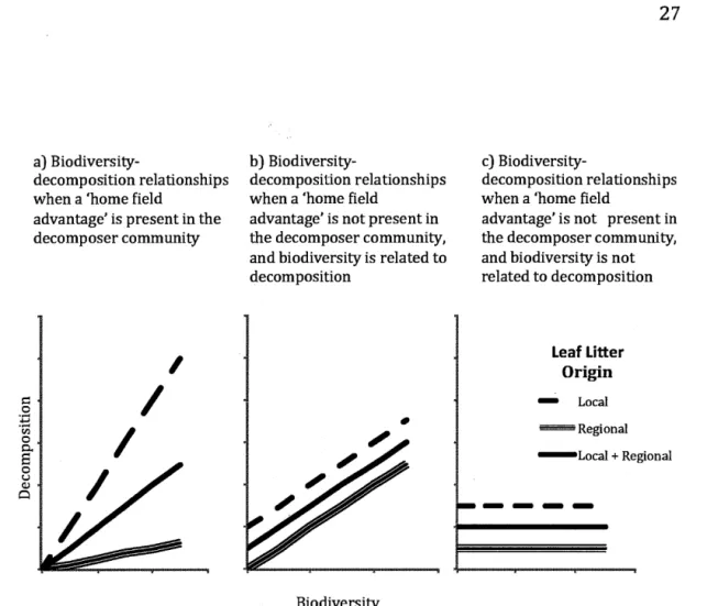 Fig. 1.1  Conceptual diagram ofthesis hypotheses that predict the relationship between  biodiversity and decomposition: a)  ifthere is a 'home field advantage' for the 