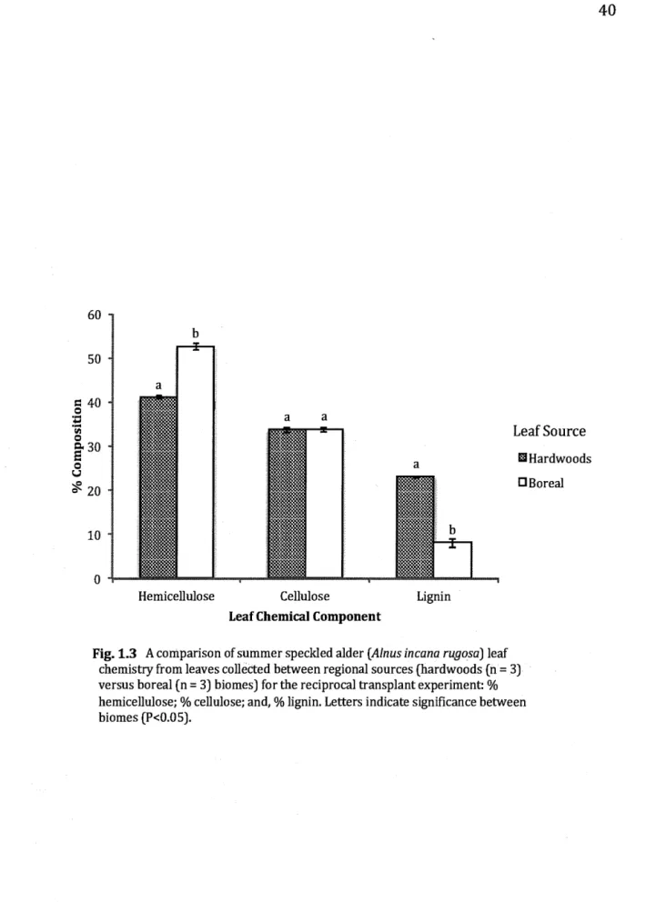 Fig. 1.3  A comparison of summer speckled aider  (A/nus in cana rugosa)  leaf 