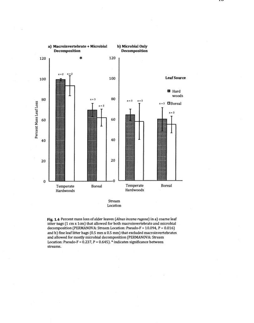Fig. 1.4  Percent mass loss of alder leaves  (Al nus inca na ru9osa) in a) coarse leaf 
