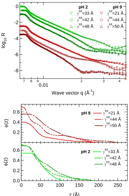 Figure 15 -  Neutron reflectivity curves (top) and polymer density profiles (bottom) corresponding to the  best fit of the reflectivity data