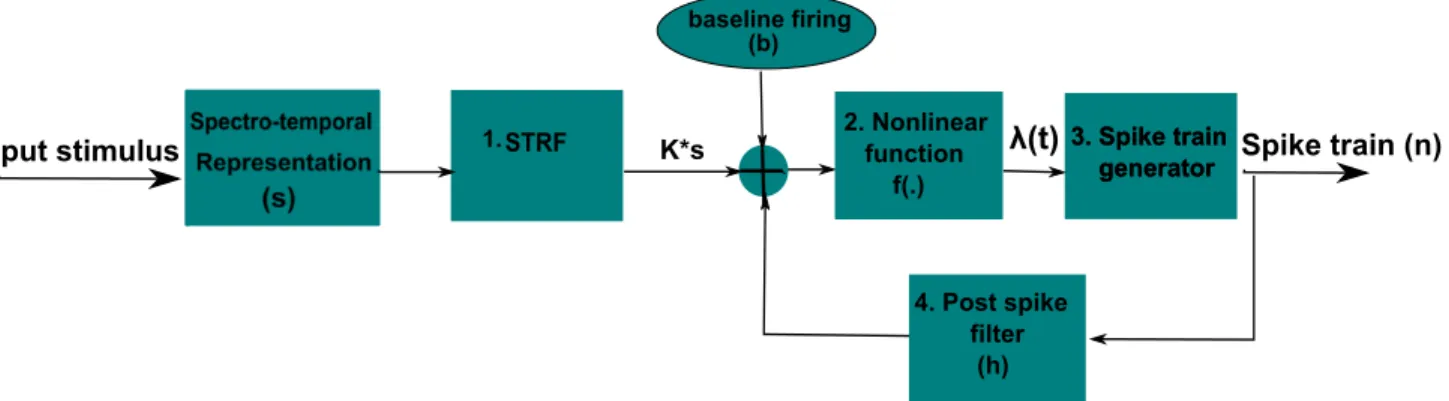 Figure 2.10 A GLM for a single neuron in the auditory system. It comprises four main blocks, 1