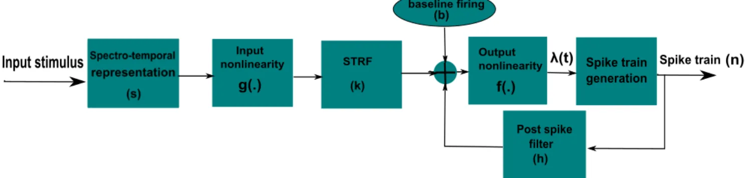 Figure 2.11 A GBM for a single neuron. It comprises: a spectro-temporal transform of the input signal, an input nonlinearity, a linear STRF, an output nonlinearity, a point process and a post spiking lter block from left to right respectively [Ahrens et a