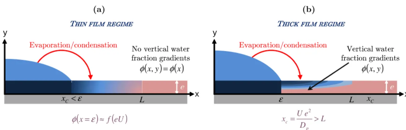 Figure 2.6: Schematic representation of wetting regimes according to Tay et al. - (a) Thin film regime