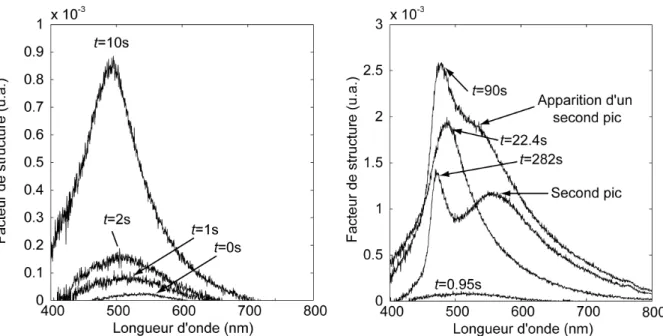 Figure 40 : pic de diffraction aux temps courts. La  formation de doublets ou de triplets est détectée