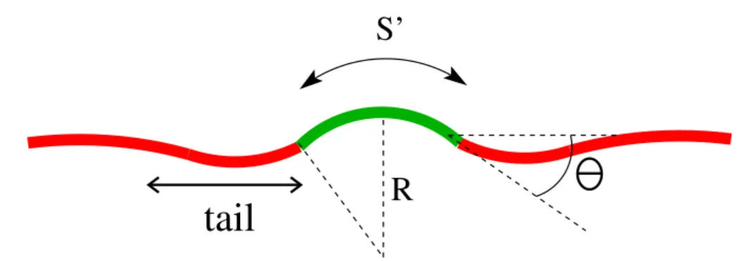 Figure 1.4: Schematic cutaway of a partial bud (in green) of surface S ′ and radius of curvature 1/R on a membrane (red)
