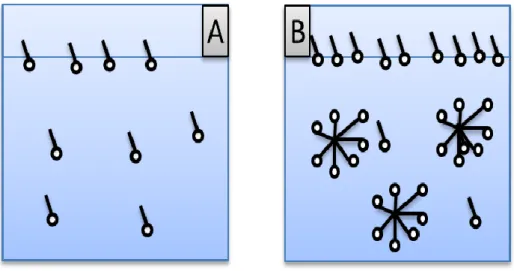 Figure 18 : Evolution de l’équilibre en fonction de la concentration en tensioactifs A : avant la CMC et B après la CMC