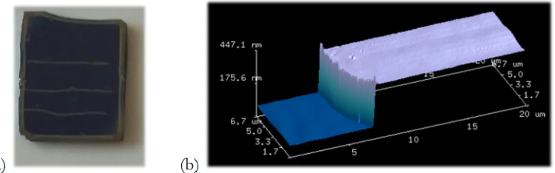 Figure II 10 (a) Couche d’hydrogel de pNIPAM « rayée » sur un wafer de silicium  (b) Vue 3D d’un profil d’épaisseur mesuré à l’AFM réalisé sur le film d’hydrogel de  pNIPAM