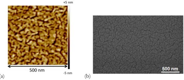 Figure III 7 Etat de surface d’une couche d’or déposée à 20 mA pendant 30  secondes observé en AFM en mode contact (a) et au MEB (b)