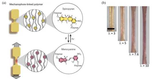 Figure 1.29: (a) Schematic representation of the active process of spiropyran; (b) the images  of the specimen in the tensile test 76