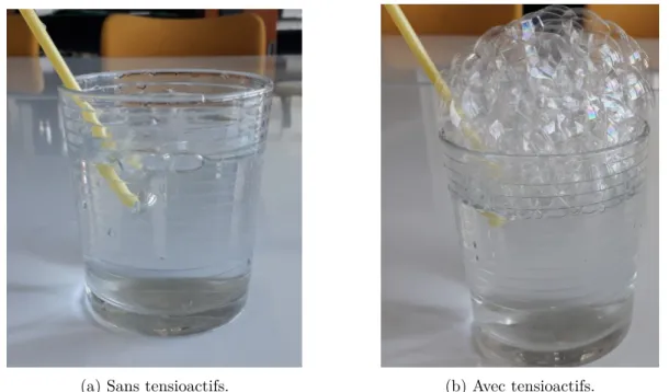 Figure 1.2: Eﬀet des tensioactifs sur le temps de vie des bulles à la surface d’un verre d’eau