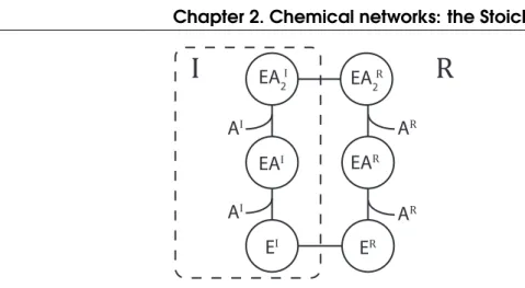 Figure 2.6: A minimalist scheme for a passive nonlinear transport enzyme catalyzing the reaction 2A I −−* )−− 2A R .