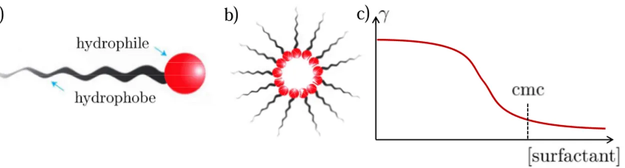 Figure 1.4: (a) Structure du surfactant ; (b) Exemple de micelle ; (c) Exemple d’évolution de la tension superficielle avec la concentration en surfactant